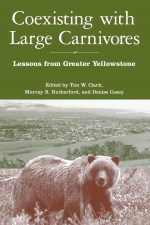 Cover of the book Coexisting with Large Carnivores by Anthony D. Barnosky