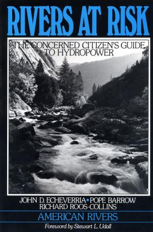 Cover of the book Rivers at Risk by Laurie Ann Mazur, Martha Farnsworth Riche, Steve Sinding, Tim Wirth, Tim Cohen, Susan Gibbs