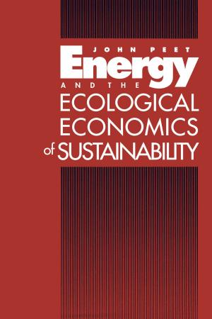 Cover of the book Energy and the Ecological Economics of Sustainability by Jeremy B.C. Jackson, Jamie Cournane, Jeff Bolster, Francisco Chavez