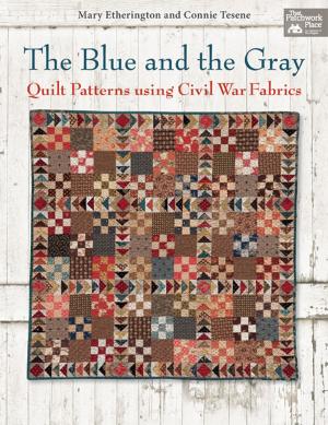 Book cover of The Blue and the Gray