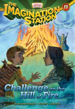 Cover of the book Challenge on the Hill of Fire by Susan Miller