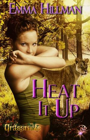 Cover of the book Heat It Up by Tessie Bradford