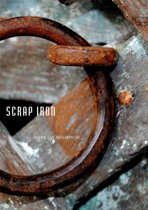 Cover of the book Scrap Iron by Julia Corbett