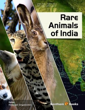 Cover of the book Rare Animals of India by Marco  G. Alves
