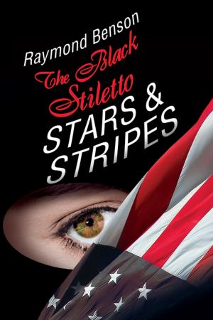 Cover of the book The Black Stiletto: Stars & Stripes by Jude Hardin