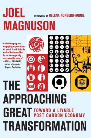 Cover of the book The Approaching Great Transformation by Lee Stringer