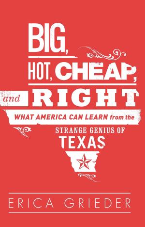 Cover of the book Big, Hot, Cheap, and Right by Tom Tucker