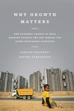 Cover of the book Why Growth Matters by Derek Chollet, Samantha Power