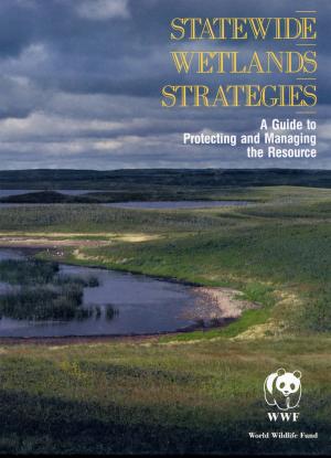 Cover of the book Statewide Wetlands Strategies by Joanna Burger