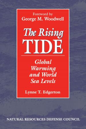Cover of the book The Rising Tide by Dave Egan
