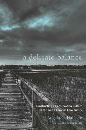Cover of the book A Delicate Balance by Mary Hood