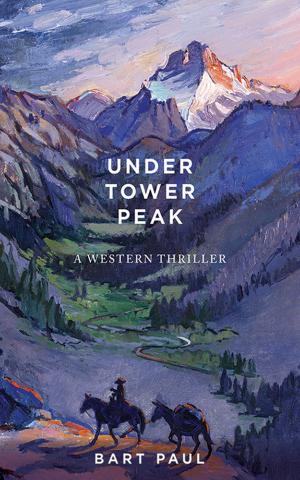 Cover of the book Under Tower Peak by Margriet De Moor