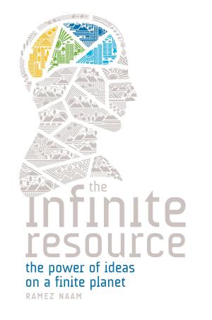 Cover of the book The Infinite Resource by Mark Twain