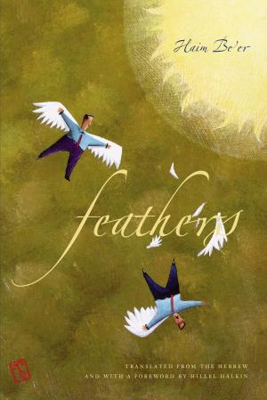 Cover of the book Feathers by Naomi Prawer Kadar