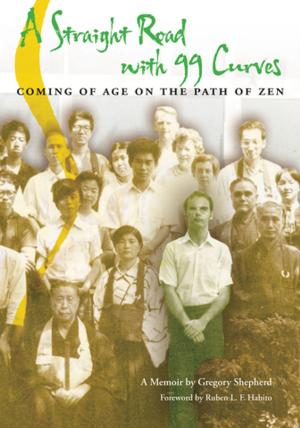 Cover of the book A Straight Road with 99 Curves by Qin Xue Herzberg, Larry Herzberg