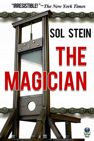 Cover of the book The Magician by James S. Dorr, John Stewart Wynne, Betsy Miller