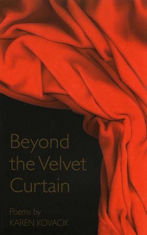 Cover of the book Beyond the Velvet Curtain by Heather Kirn Lanier