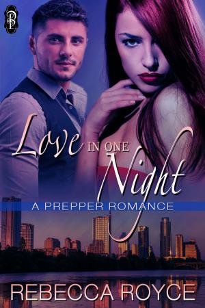 Cover of the book Love in One Night by Barbara Sheridan