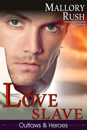 Book cover of Love Slave (Outlaws and Heroes, Book 1)