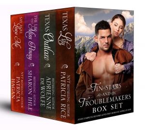 Cover of Tin-Stars and Troublemakers Box Set (Four Complete Historical Western Romance Novels in One)