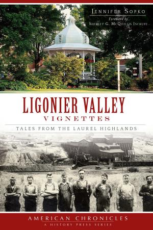 Cover of the book Ligonier Valley Vignettes by John Caknipe Jr.