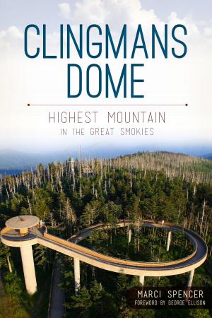 Cover of the book Clingmans Dome by Michael C. Hardy