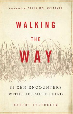 Book cover of Walking the Way