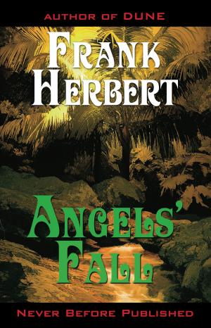 Cover of the book Angels’ Fall by R. A. MacAvoy, Nancy L. Palmer