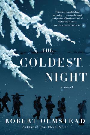 Cover of the book The Coldest Night by Amy Herrick