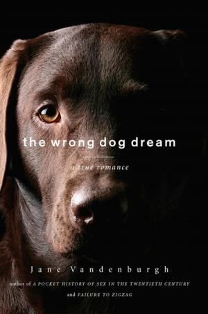Cover of the book The Wrong Dog Dream by M. F. K. Fisher