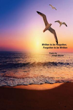 Cover of the book Written to be Forgotten; Forgotten to be Written by Starr Kemmer