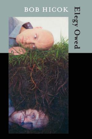 Cover of the book Elegy Owed by Matthew Zapruder