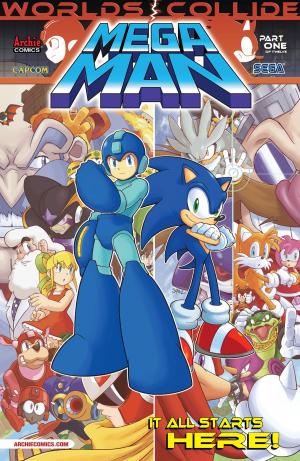 Book cover of Mega Man #24