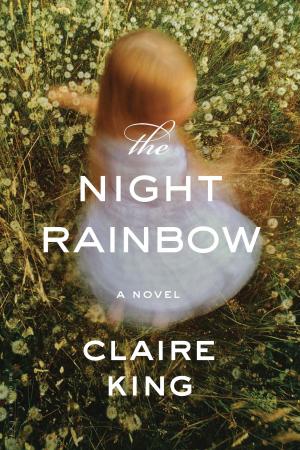Cover of the book The Night Rainbow by Julia Skelly
