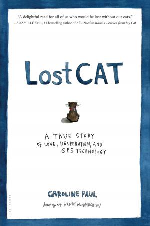 Cover of the book Lost Cat by 
