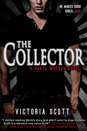 Cover of the book The Collector by Diana Quincy