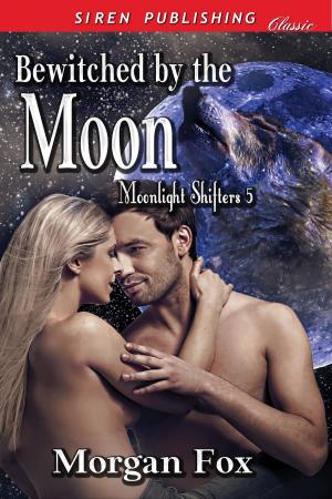 Cover of the book Bewitched by the Moon by Stormy Glenn