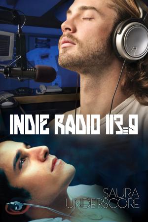 Cover of the book Indie Radio 113.9 by Bru Baker