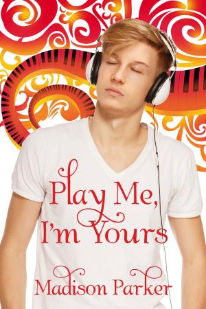 Cover of the book Play Me, I'm Yours by Andrew Grey