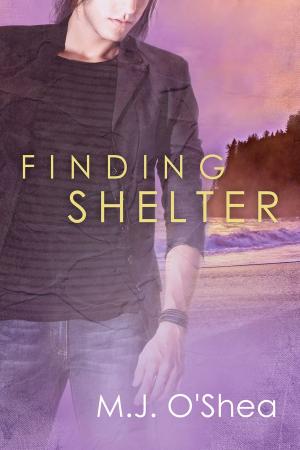 Book cover of Finding Shelter