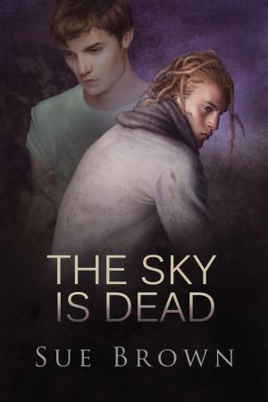 Cover of the book The Sky Is Dead by j. leigh bailey
