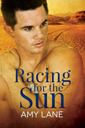 Cover of the book Racing for the Sun by M.J. O'Shea