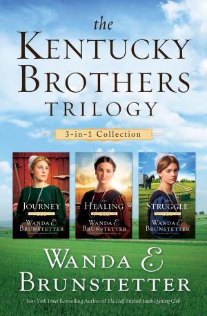 bigCover of the book The Kentucky Brothers Trilogy by 
