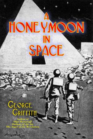 Book cover of A Honeymoon in Space
