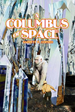 Book cover of A Columbus of Space