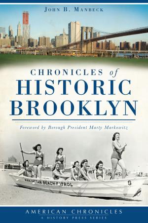Cover of the book Chronicles of Historic Brooklyn by DuBois Area Historical Society
