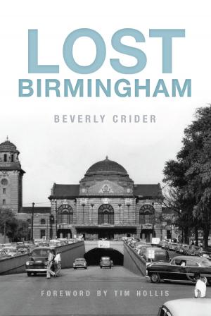 Cover of the book Lost Birmingham by Daniel R. Cillis PhD