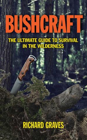 Cover of the book Bushcraft by David White, John Trinidad