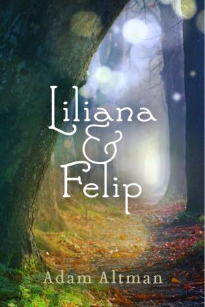 Book cover of Liliana & Felip