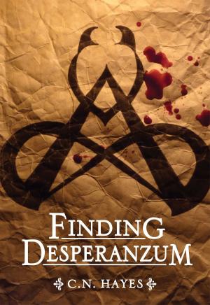 Cover of the book Finding Desperanzum by Derek Mitchell